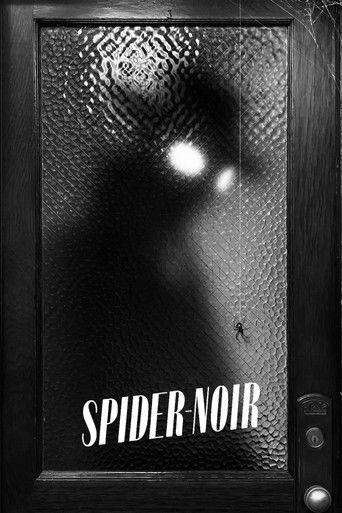 Spider-Noir Poster
