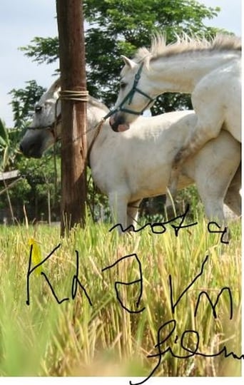 The Muzzled Horse of an Engineer in Search of Mechanical Saddles Poster