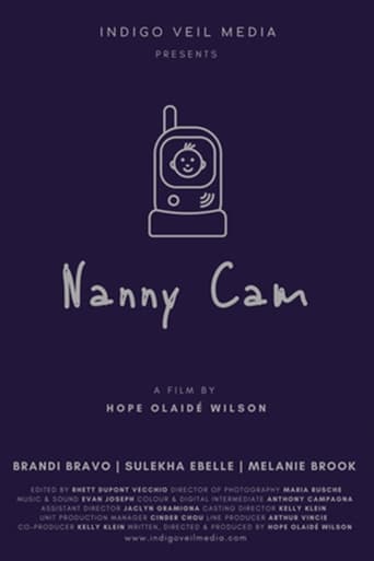 Nanny Cam Poster