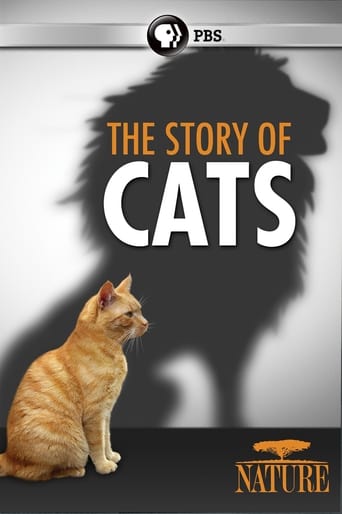The Story of Cats Poster