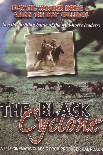 Black Cyclone Poster