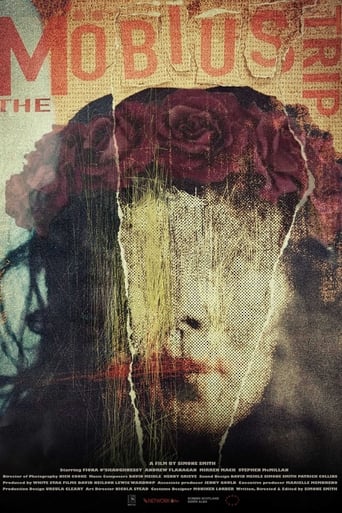 The Möbius Trip Poster