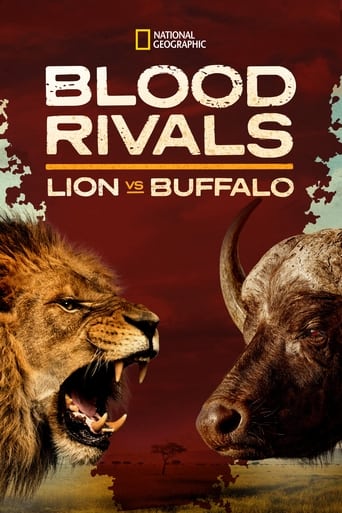 Blood Rivals: Lion vs Buffalo Poster