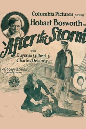 After the Storm Poster