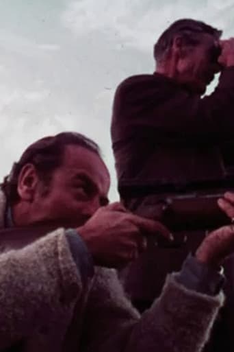 The Reason Why Poster