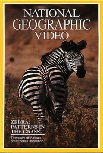Zebras: Patterns in the Grass Poster