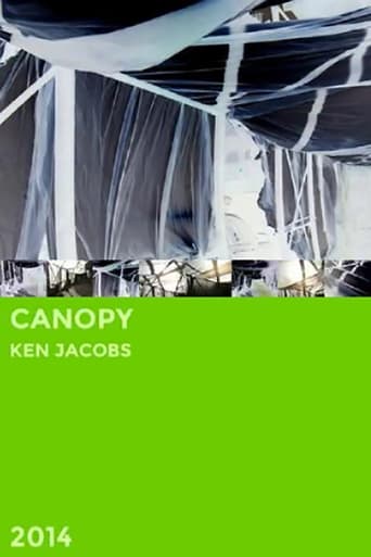 Canopy Poster
