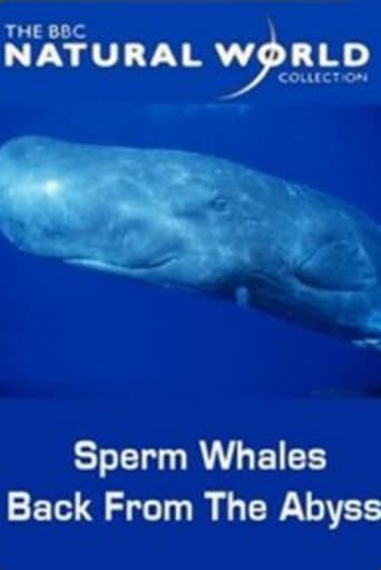 Sperm Whales: Back from the Abyss Poster