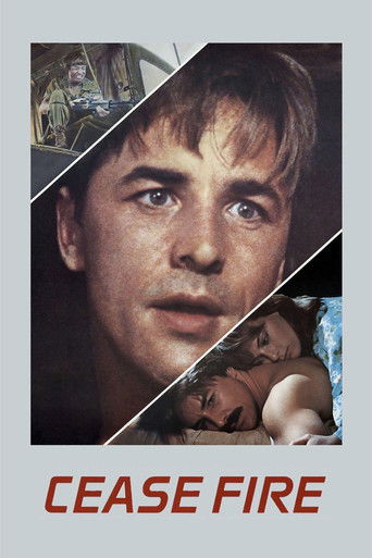 Cease Fire Poster