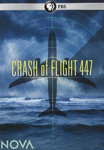 Crash of Flight 447 Poster