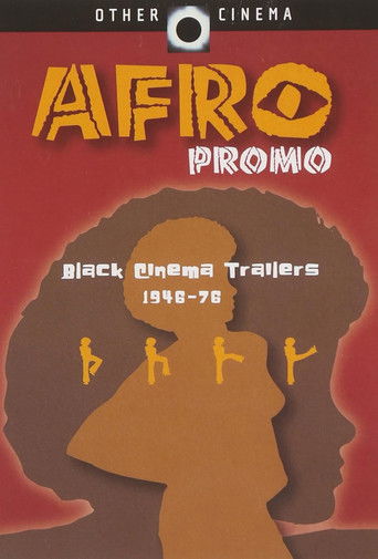 Afro Promo Poster