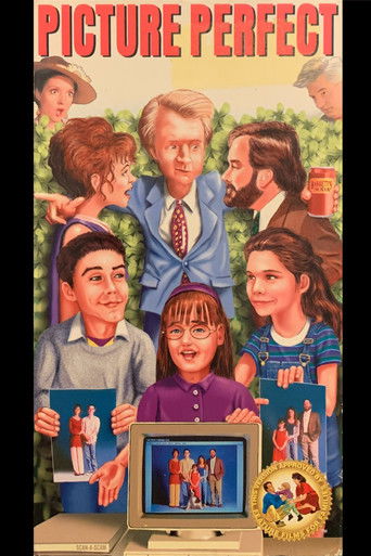 Picture Perfect Poster