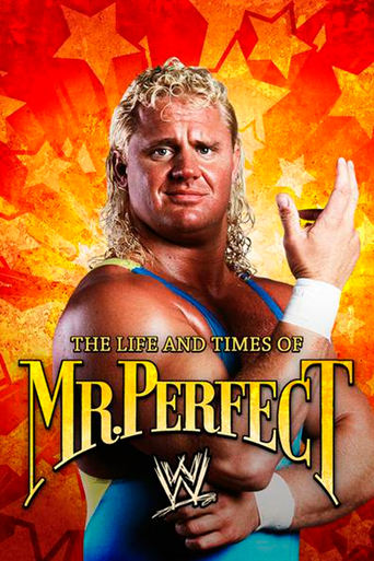 The Life and Times of Mr. Perfect Poster