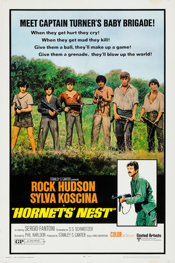 Hornets' Nest Poster