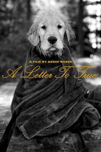 A Letter to True Poster