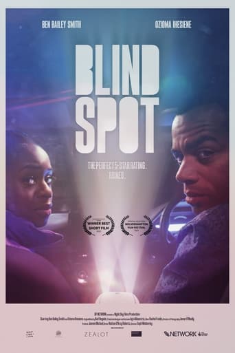 Blind Spot Poster