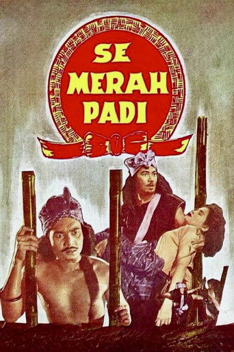 Semerah Padi