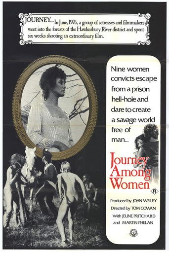 Journey Among Women Poster
