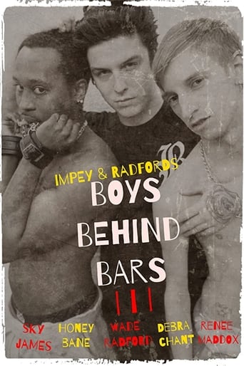 Boys Behind Bars 3 Poster