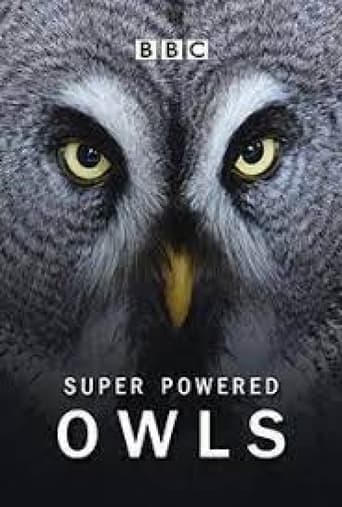 Super Powered Owls Poster