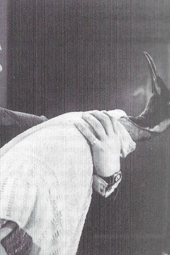 To Brighton with Gladys Poster