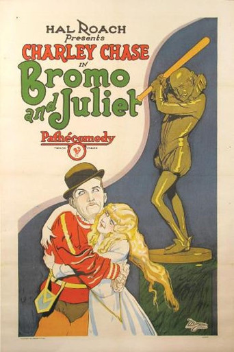 Bromo and Juliet Poster