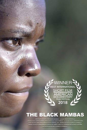 The Black Mambas Poster