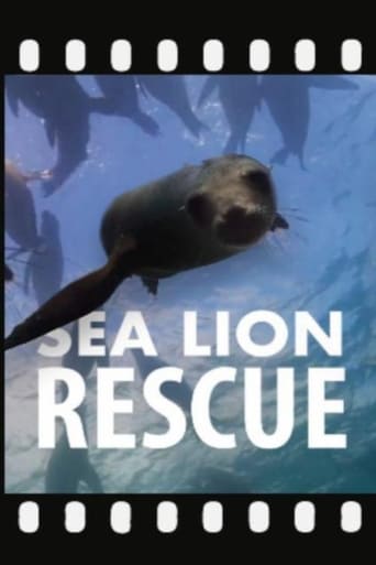 Sea Lion Rescue Poster