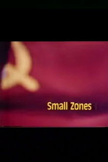 Small Zones Poster