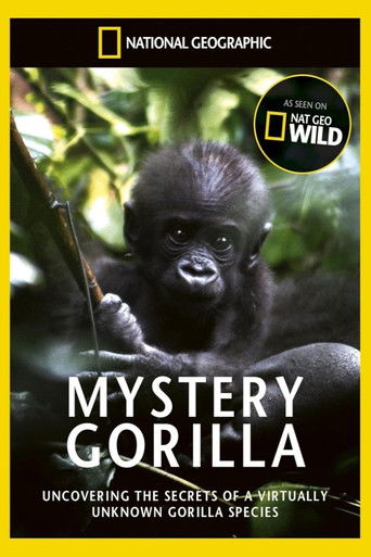 De mystiske gorillaer Poster