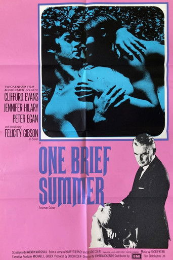 One Brief Summer Poster