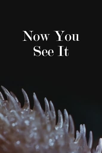 Now You See It Poster