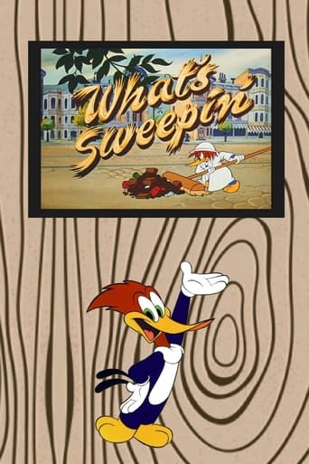 What's Sweepin'? Poster