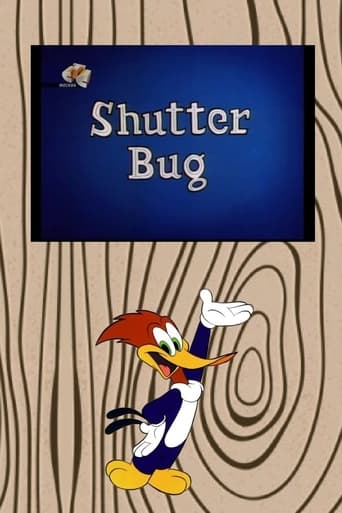 Shutter Bug Poster