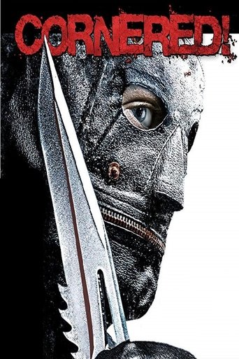 Cornered! Poster