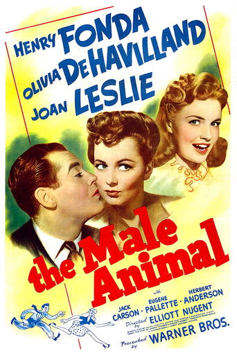 The Male Animal Poster