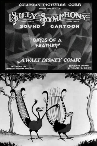 Birds of a Feather Poster