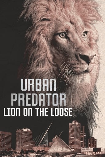 Urban Predator: Lion on the Loose Poster