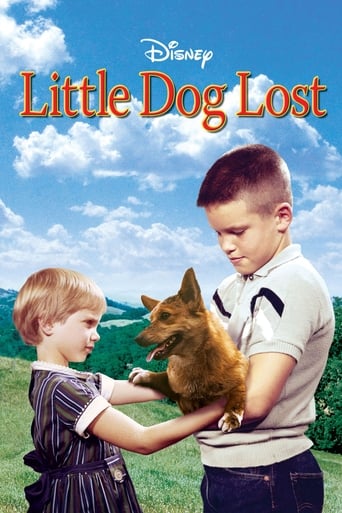 Little Dog Lost Poster