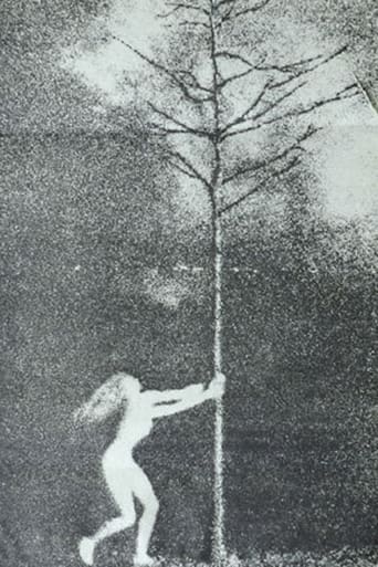 The Phallic Forest Poster