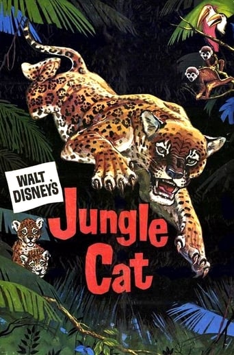Jungle Cat Poster