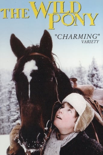 The Wild Pony Poster