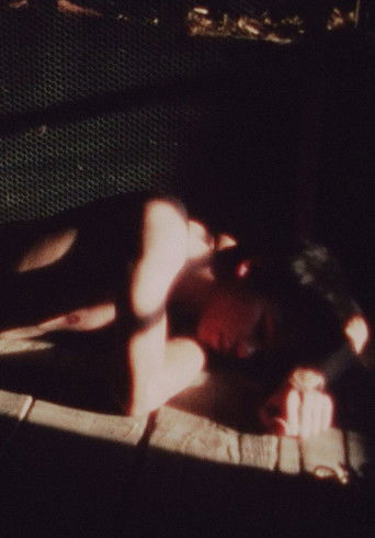 Rouges Silences Poster