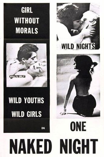 One Naked Night Poster