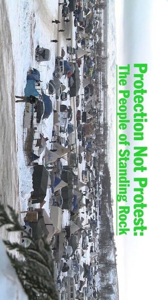 Protection Not Protest: The People of Standing Rock Poster