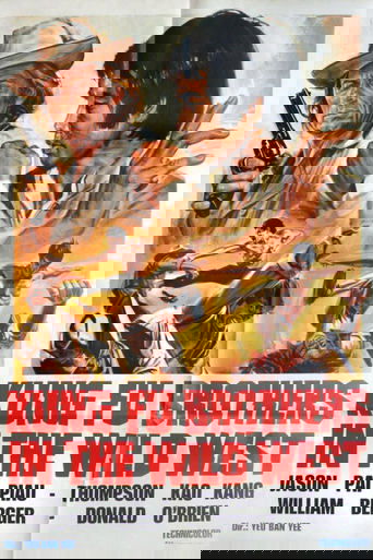 Kung Fu Brothers in the Wild West Poster