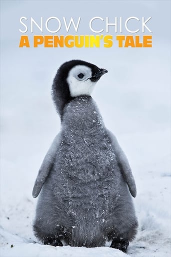 Snow Chick - A Penguin's Tale Poster