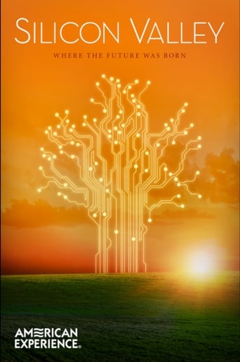 Silicon Valley Poster