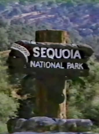 One Day On Beetle Rock Poster