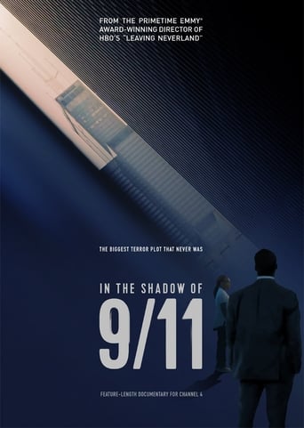 In the Shadow of 9/11 Poster